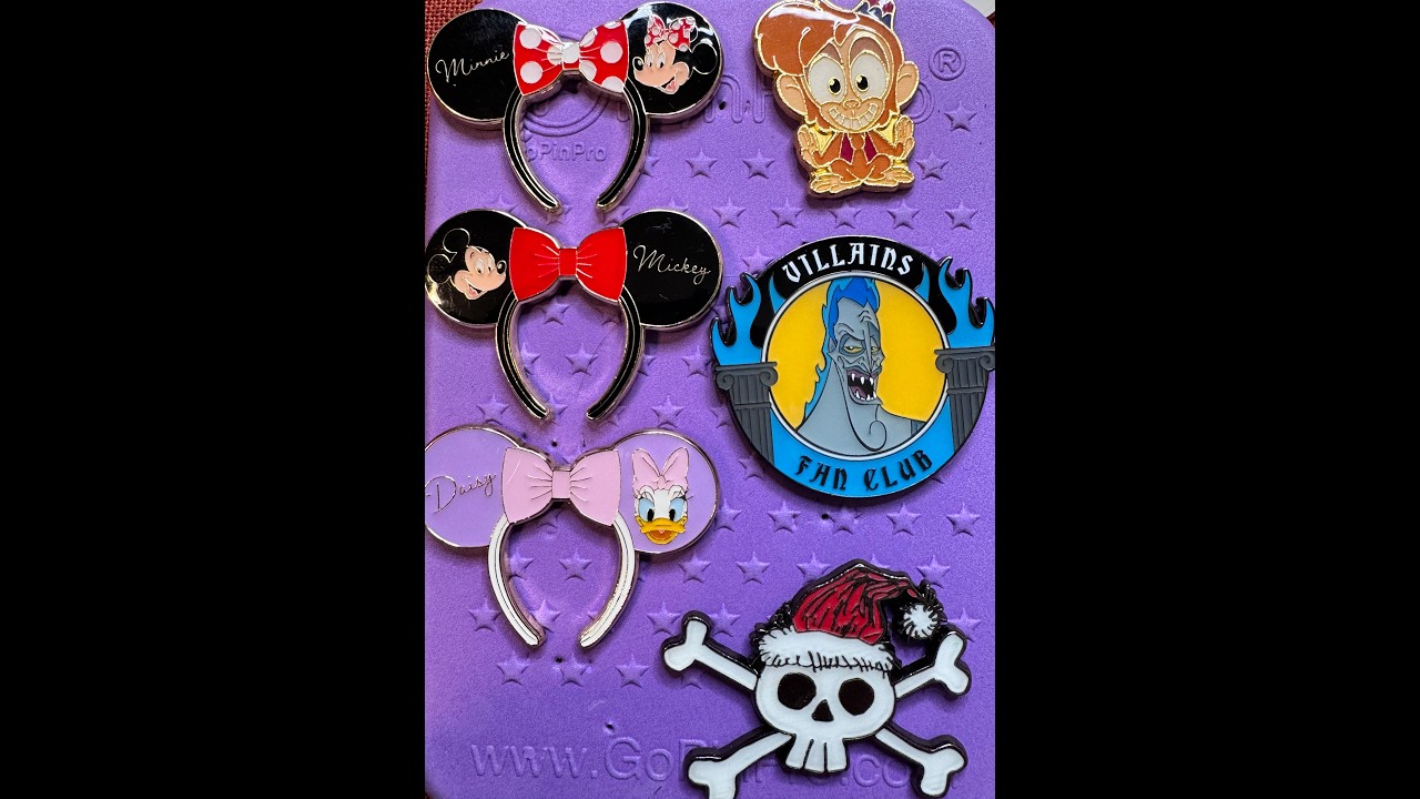 0305 Lounge fly Disney mystery box opening.