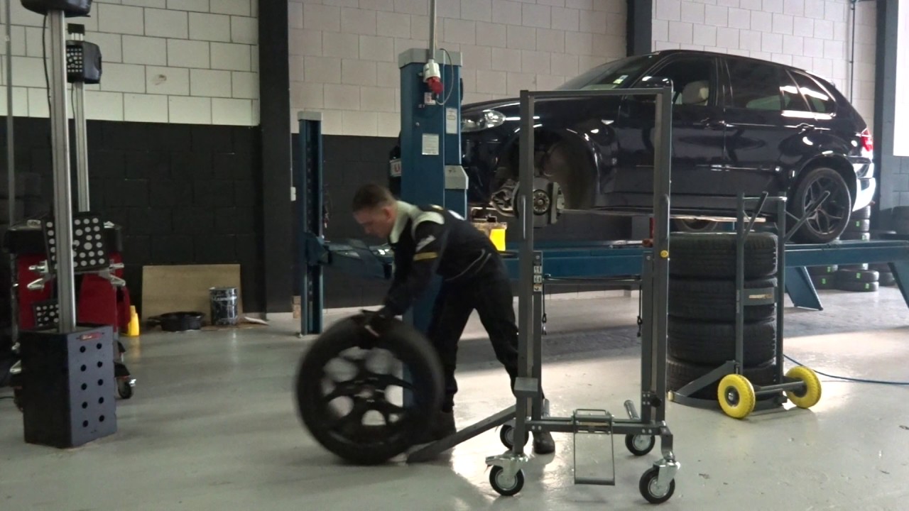 Winntec Wheel Assist and Smart Cart