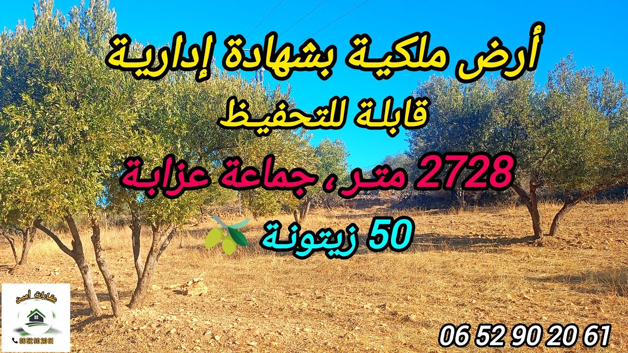 2025-12-3 :أرض 2728 متر ملكية بشهادة إدارية قابلة للتحفيظ ، 50 زيتونة🫒 الطريق الرئيسية.☎️ 0652902061