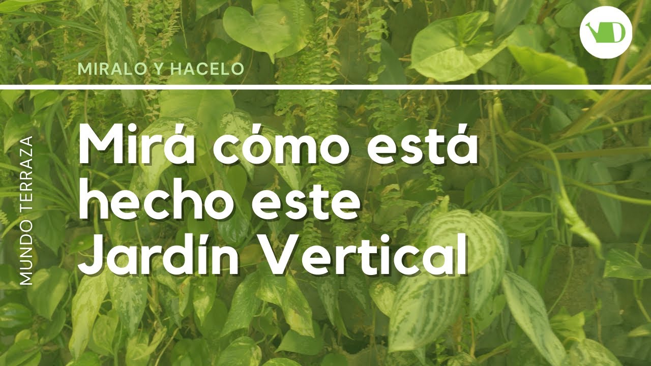 Mirá como esta hecho este jardín vertical de interior