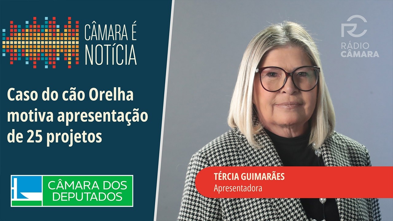 Caso do cão Orelha motiva apresentação de 25 projetos - 13/02/26 #câmaraénotícia