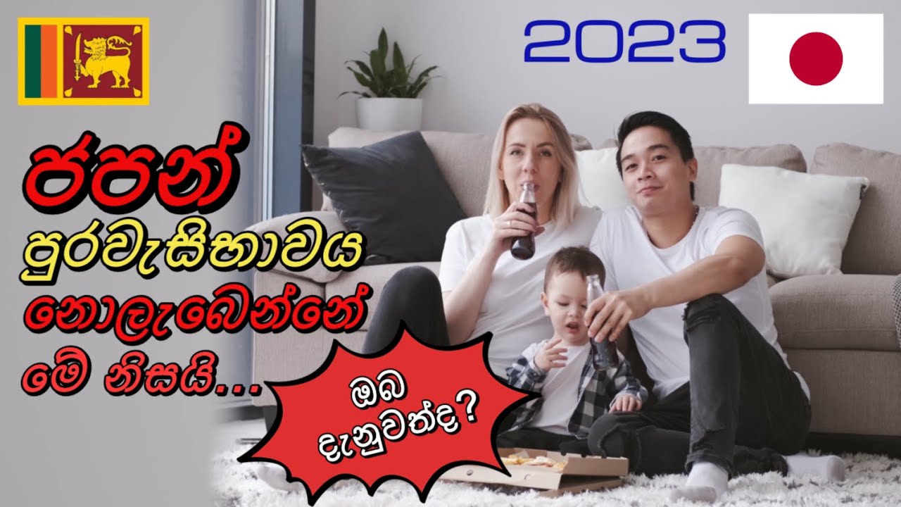 ජපානයේ ස්ථිර  පදිංචිය 2023 permanent  resident visa japan|Work in japan| job visa japan#holidayrun