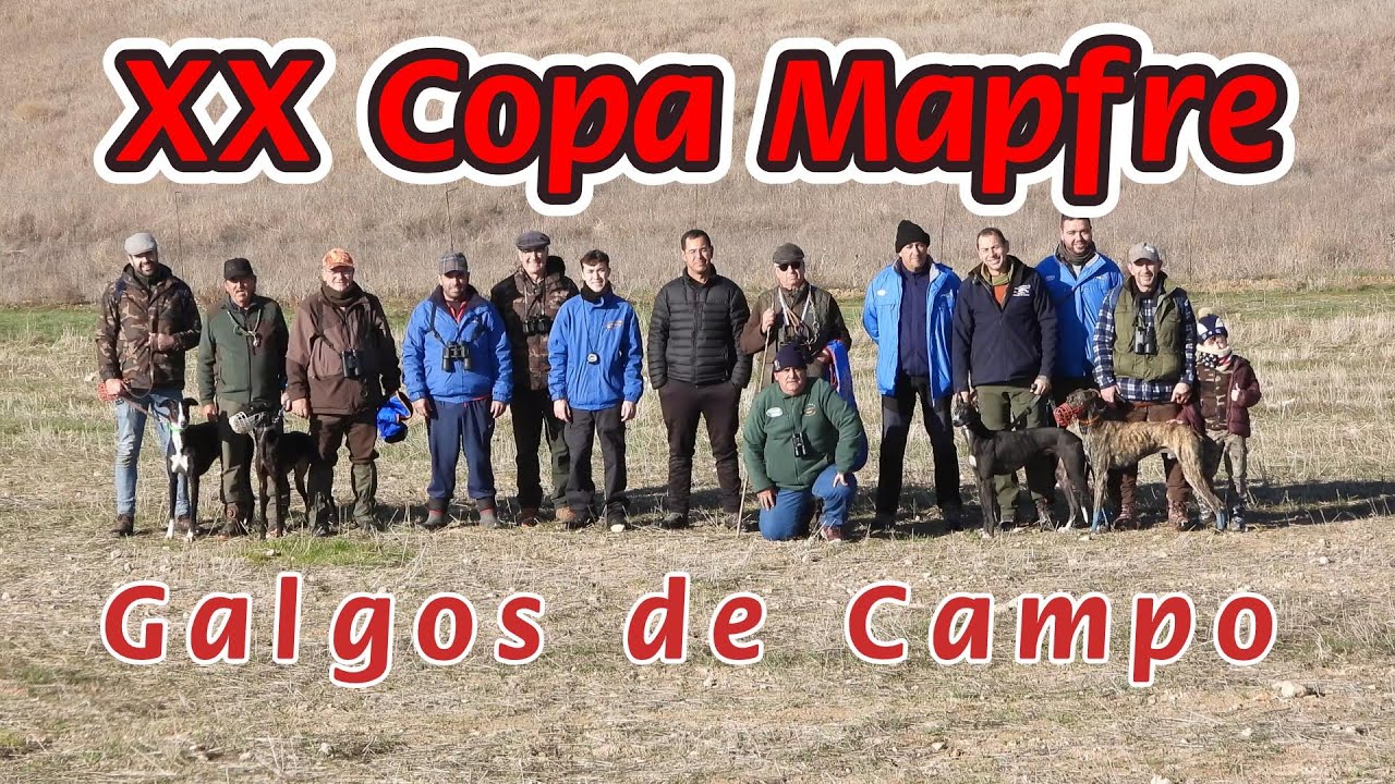 Fase de cuartos XX Copa Mapfre, Seguros Barona de Galgos de Campo, 2025