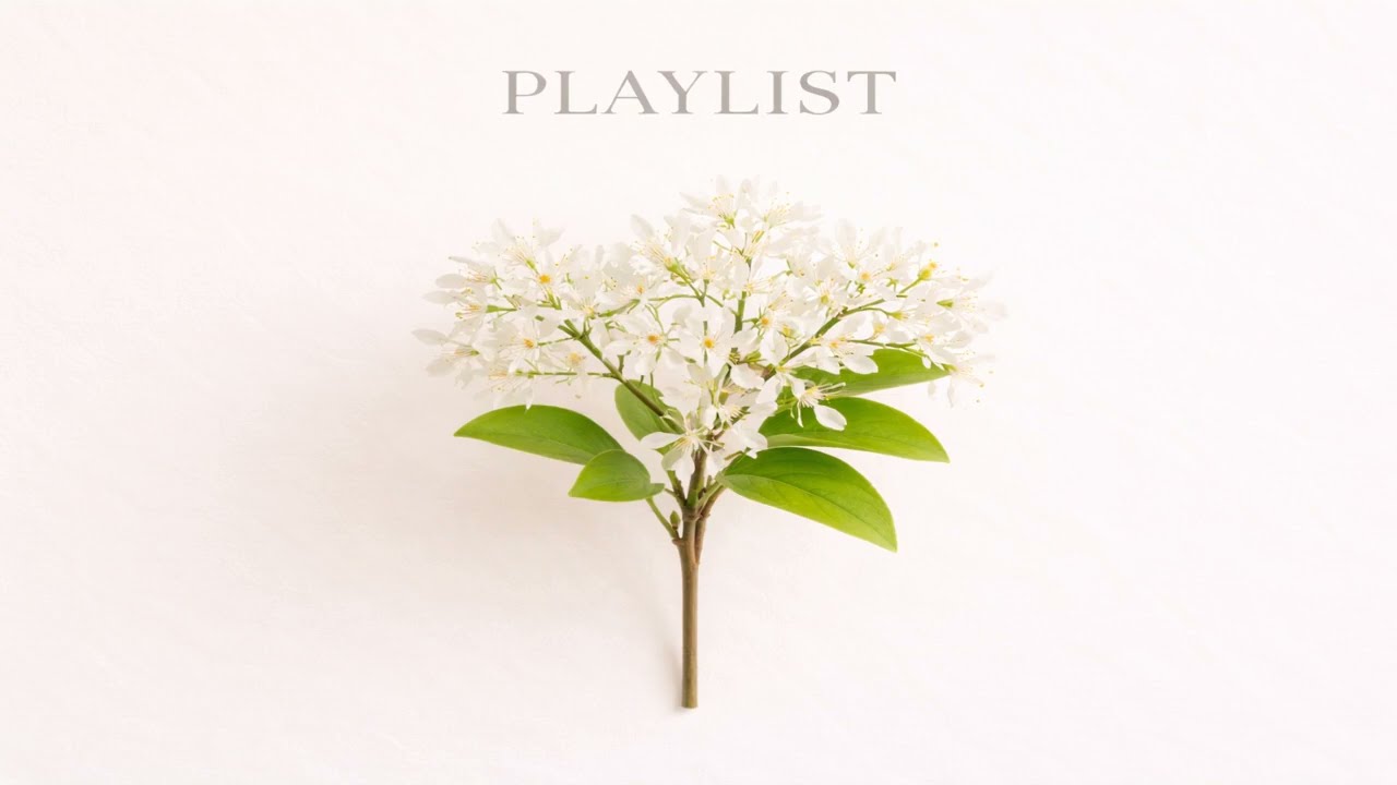 카페에서 듣기 좋은 기분좋은 팝송 | Soft Cafe Pop Playlist ☕