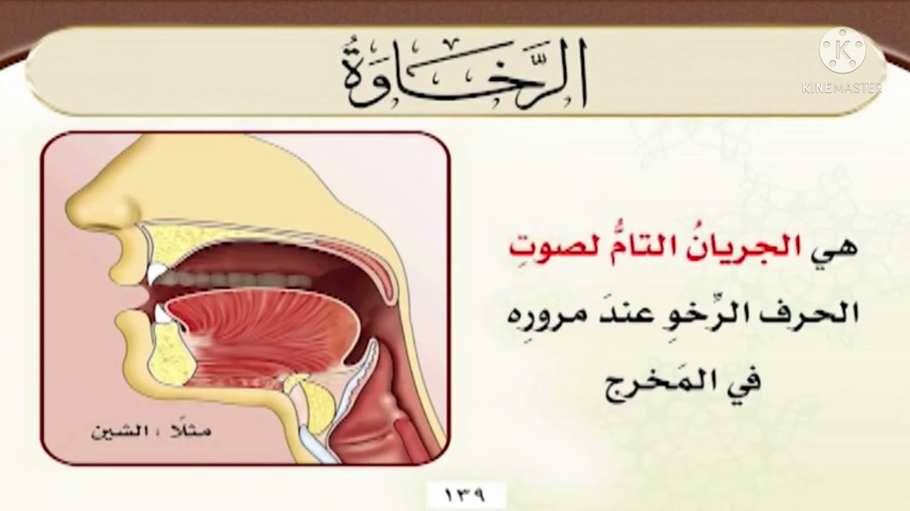 الصِّفَاتُ الْمُتَضَادَّةُ / صِفَةُ الرَّخَاوَة / أ.د أَيْمَن رُشْدِي سُوَيْد