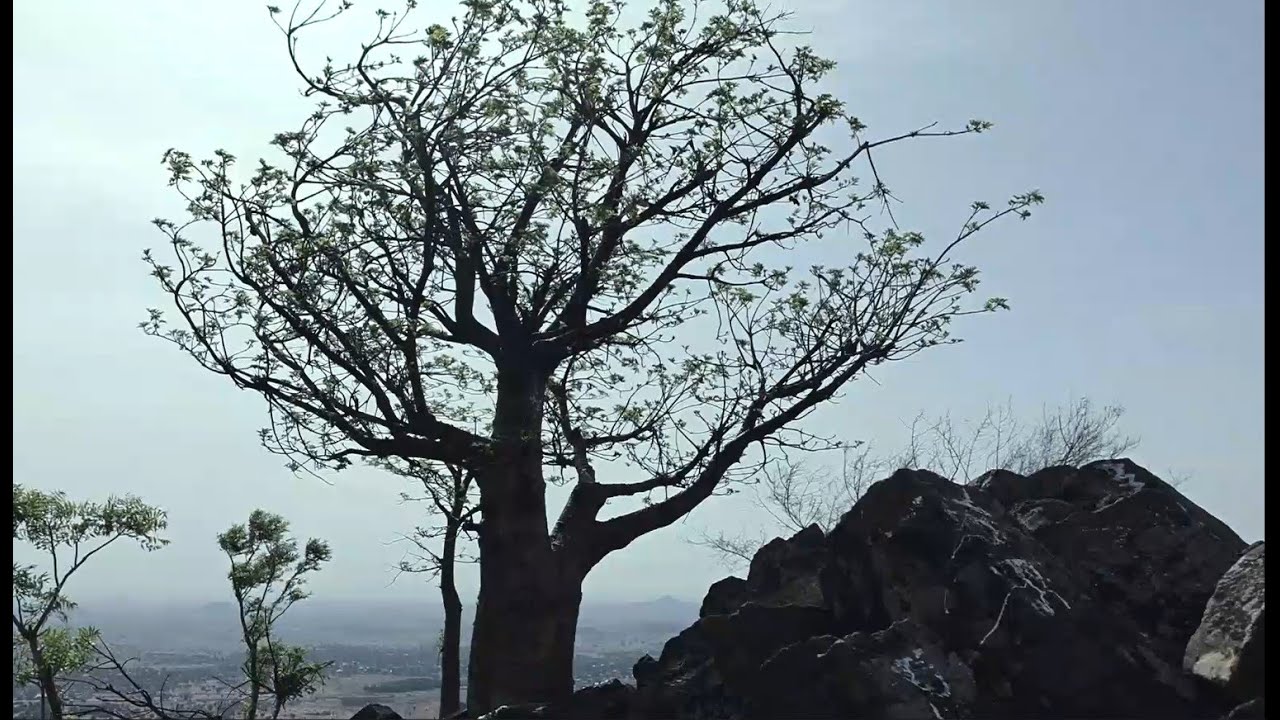 DOCUMENTARY: The Enigmatic Billiri Rock |TRUST TV