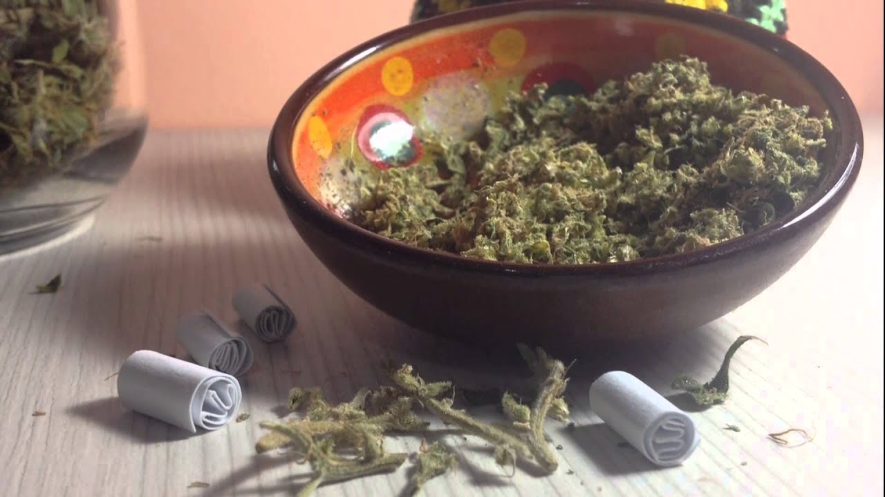 Quatro anos de Hempad&atilde;o - Laricas de Informa&ccedil;&atilde;o!