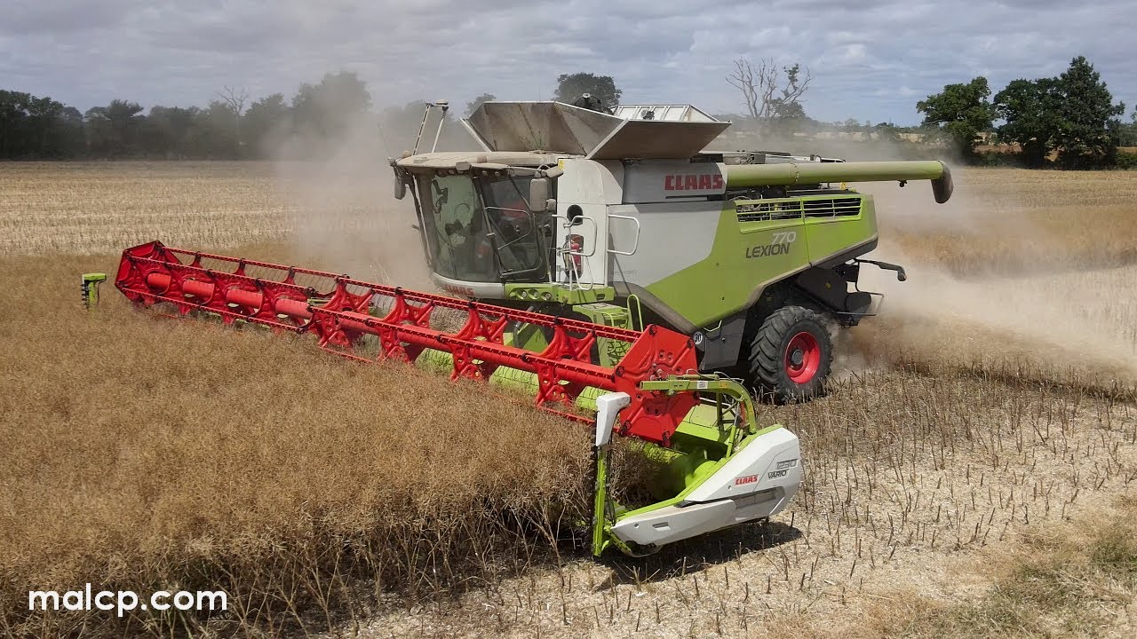 4k Harvest 2022: Claas Lexion 770 TT harvesting OSR near Yoxford