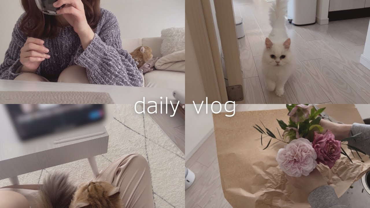 夏が来る前に恒例の掃除と猫たちのお手入れをしたりして過ごす🐈🧹休日2日と普段の数日ルーティン｜一人暮らしの日常生活vlog｜購入品紹介