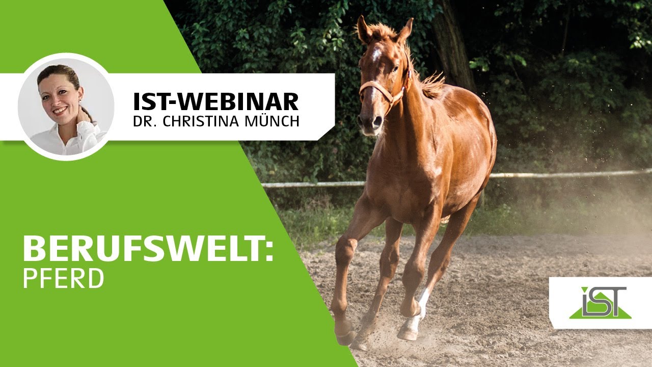 IST-Webinar: Berufswelt Pferd