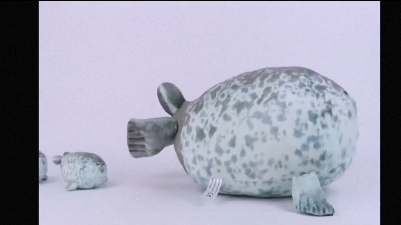 Foca con 4 hijos