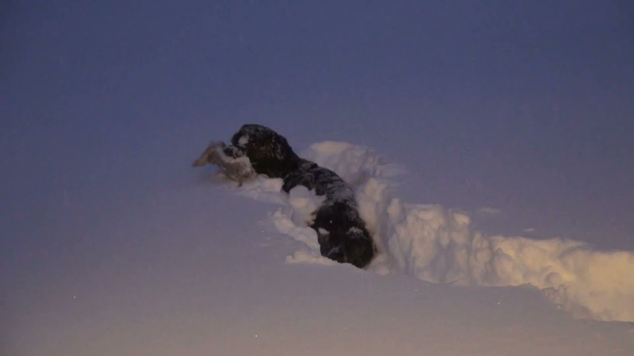 Digging out of a blizzard ... 30
