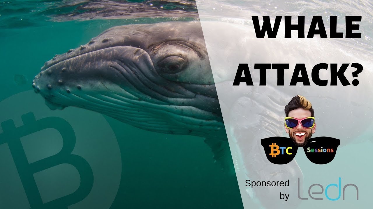 Whale Dumps 25K BTC | Kik Sued By SEC | Warren Buffet Lunch With Tron Founder