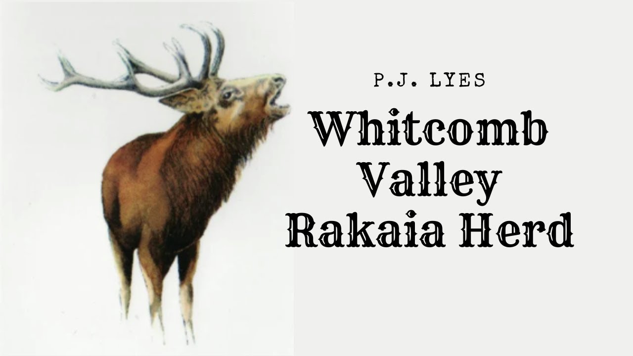 The Records Club P J  Lyes Whitcomb Valley; Rakaia Herd