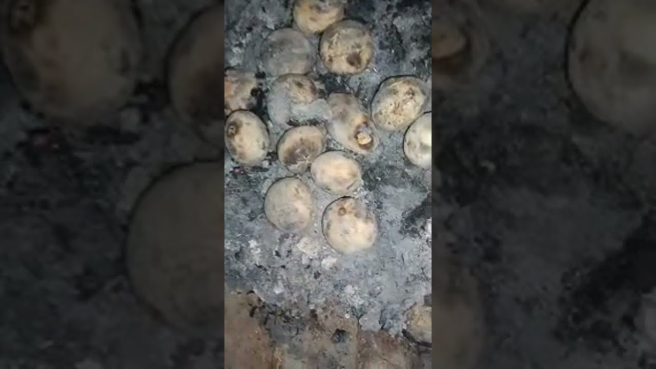 गैस खत्म हो गया है खाना देखिए कैसे बन रहा है