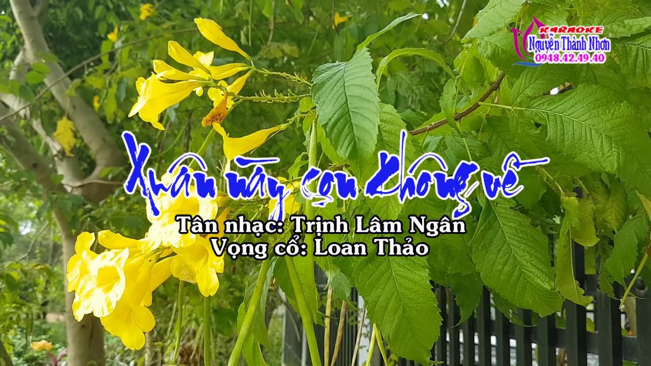 Karaoke tân cổ XUÂN NÀY CON KHÔNG VỀ - 126 DÂY KÉP