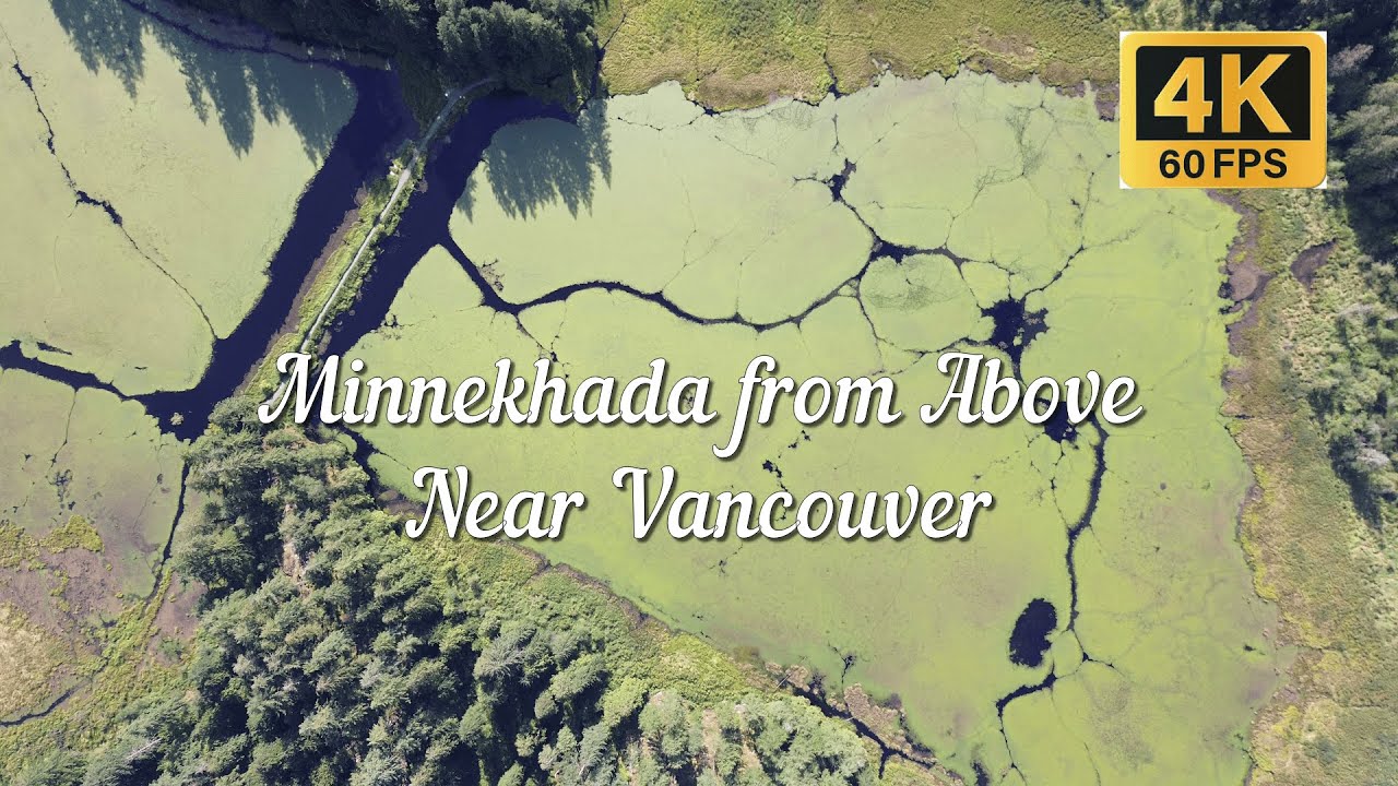 Hidden Gem near Vancouver | Minnekhada Regional Park Drone Views, Canada #travel #nature #drone