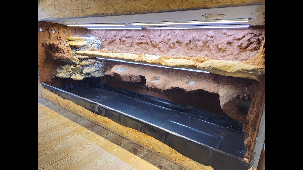 Die Rückwand ist Fertig- TEIL 3 🐍🌱🔥