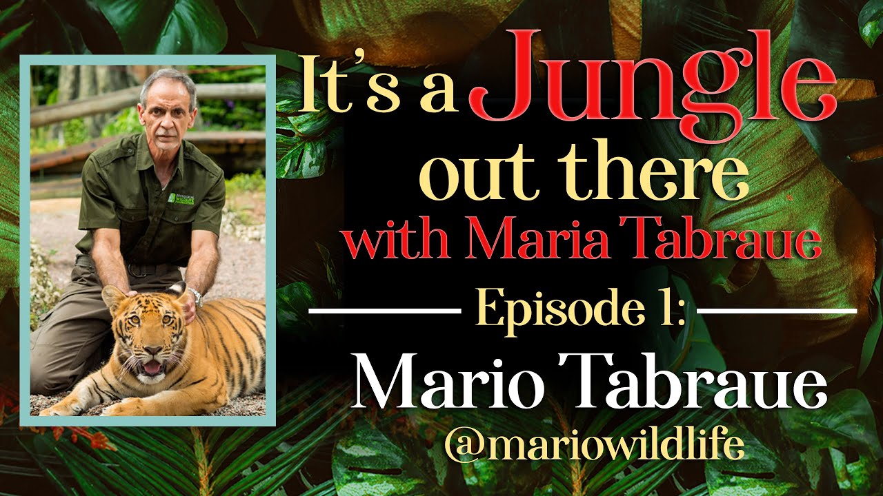 Ep. 1 Mario Tabraue:  co-founder and president of the Zoological Wildlife Foundation.