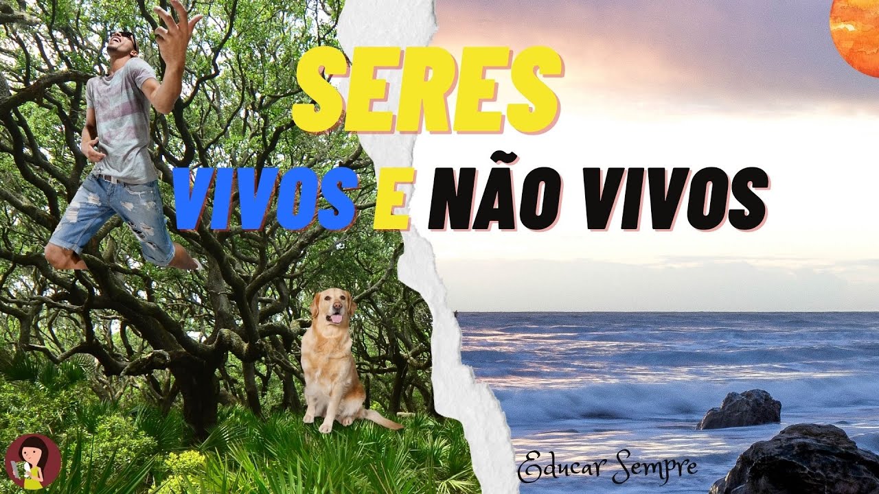 Seres vivos e n&atilde;o vivos