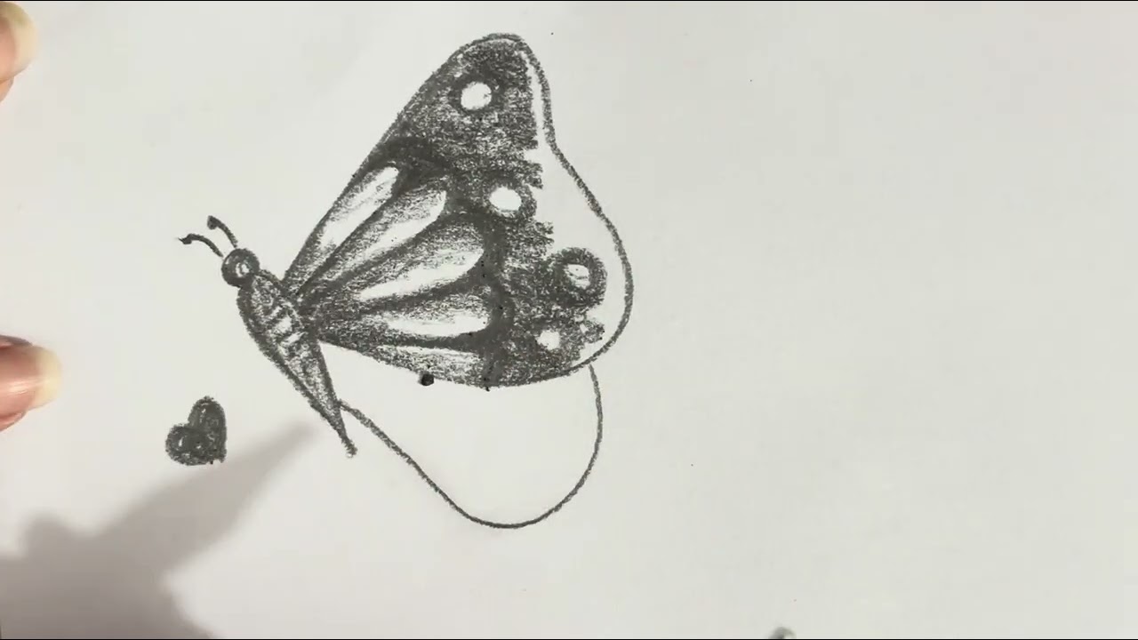How to draw a butterfly | easy pencil Shading drawing | butterfly drawing | easy drawing kids
