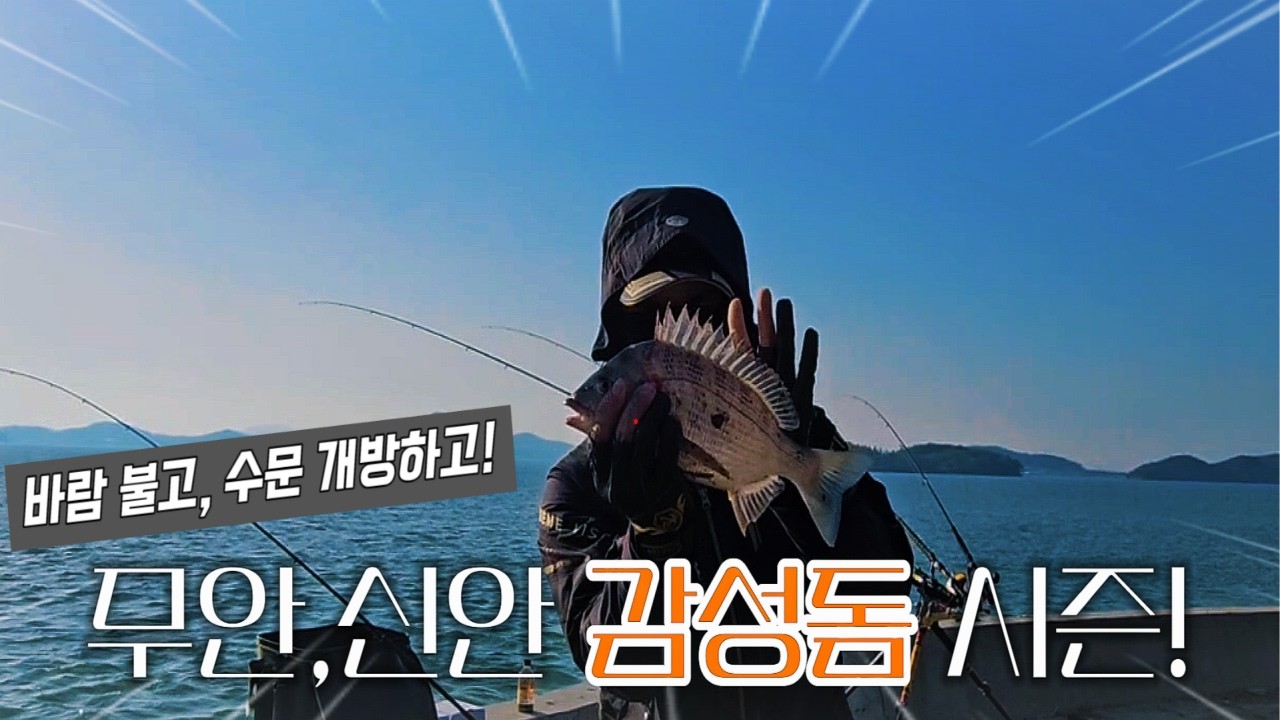영산강 수문 개방에도 과연 감성돔이 나올까? EP.4 수문 개방 #낚시 #무안 #신안 #영산강 #fishing