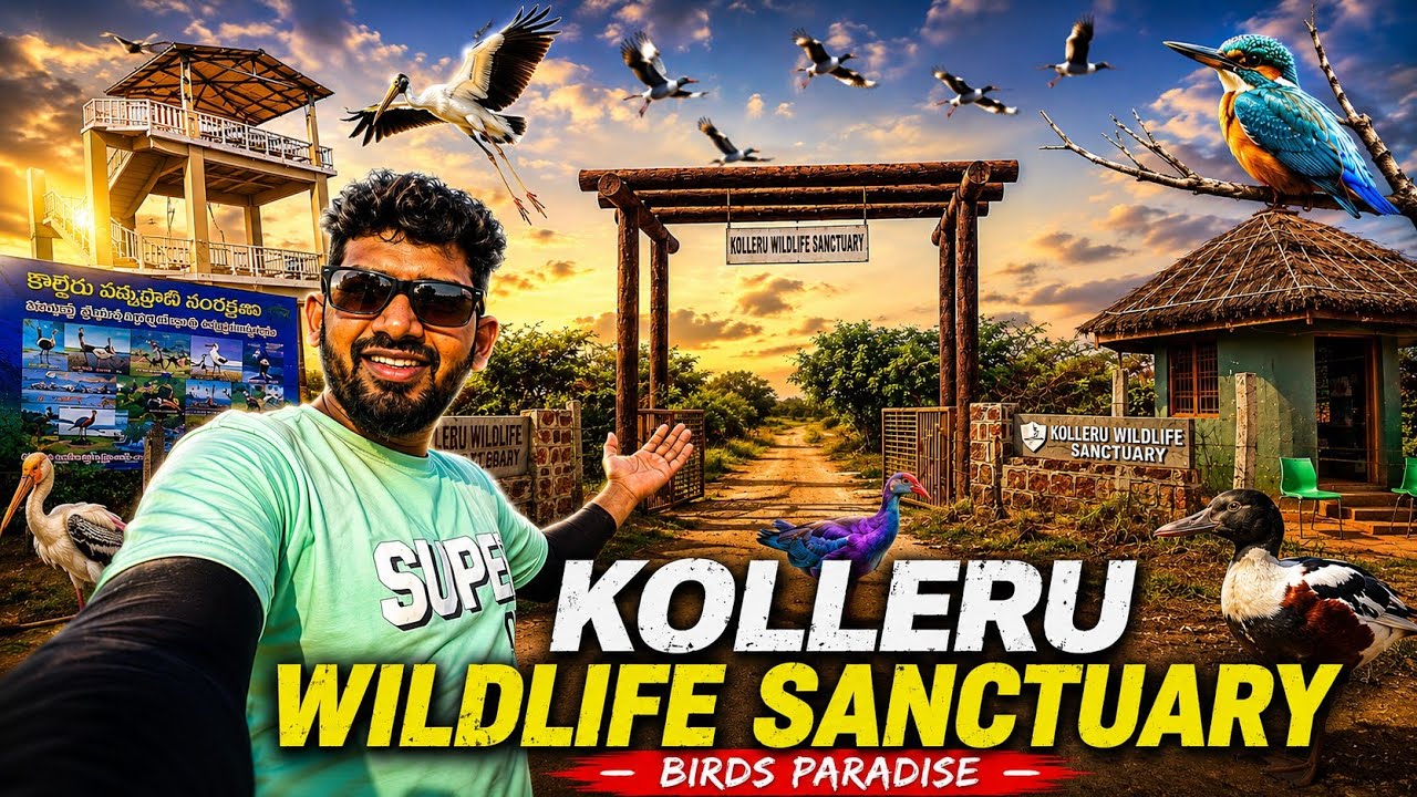 kolleru lake|Andhra Pradesh| Nearby #Eluru @villagerides