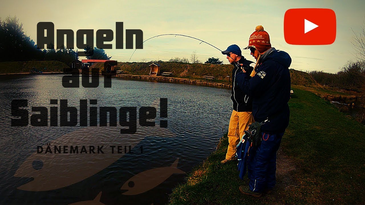 Forellenangeln mit Spoons in Dänemark! Wo steht der Saibling? Teil 1