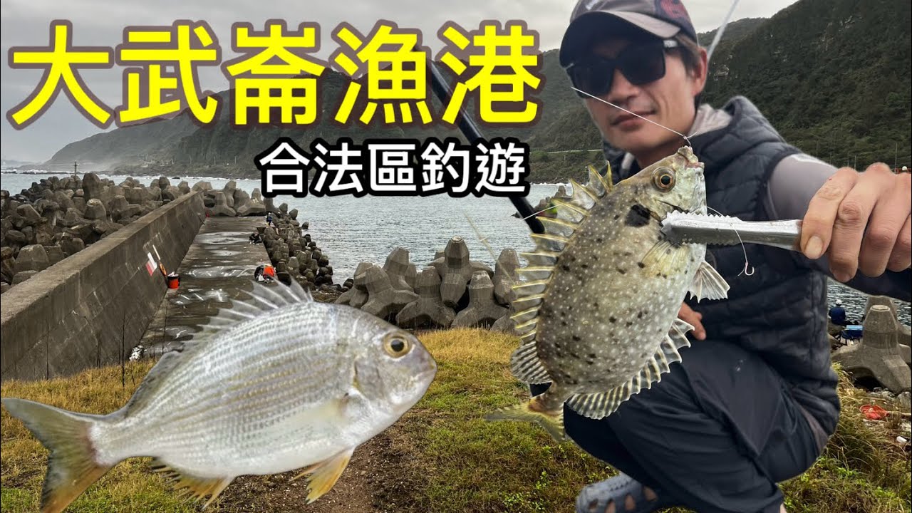 臭肚長大囉～ 大武崙漁港合法區原來這麼好玩 魚種豐富 是個練習磯釣的好地方 周圍還有貓咪環繞  #大武崙 #磯釣 #臭肚 #黑毛 #倒吊 #貓 #海男釣魚頻道 