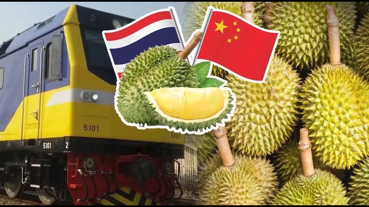 ความสำคัญของ GACC ที่ผู้ประกอบการและเกษตรกรต้องรู้ | Ground Truth Thailand