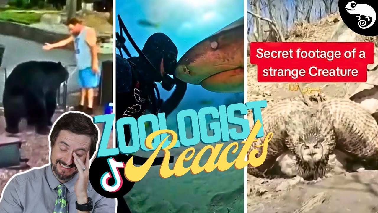 Zoologist Reacts To Viral Animal TikTok