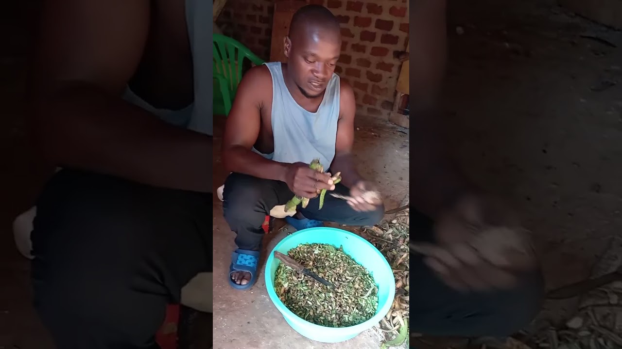 Okulunda enkoko enganda tekyatagiza kubera mwebafe. 