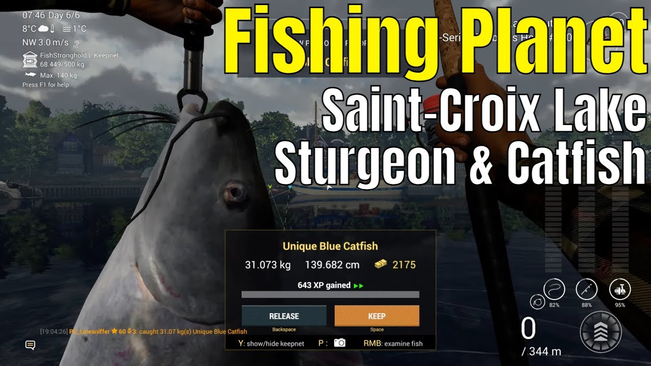 Fishing Planet | Saint-Croix Lake Michigan, Sturgeon & catfish