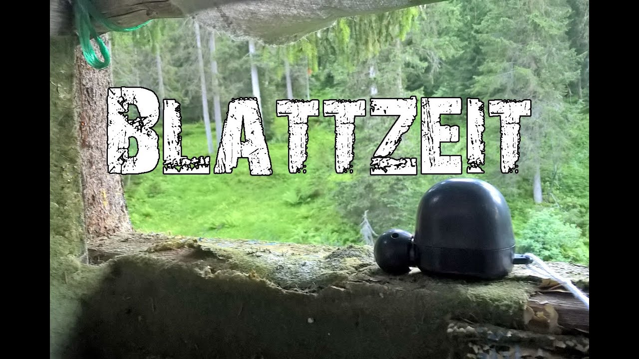 Rehbrunft - Blattzeit