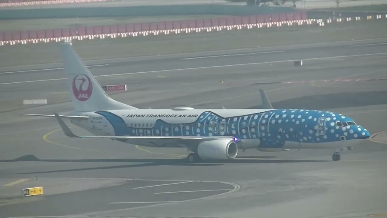 日本越洋航空 Japan Transocean Air 737-8Q3(JA05RK, 鯨鯊彩繪 Jinbei Jet) NU-301 沖繩(OKA)→桃園(TPE) landing