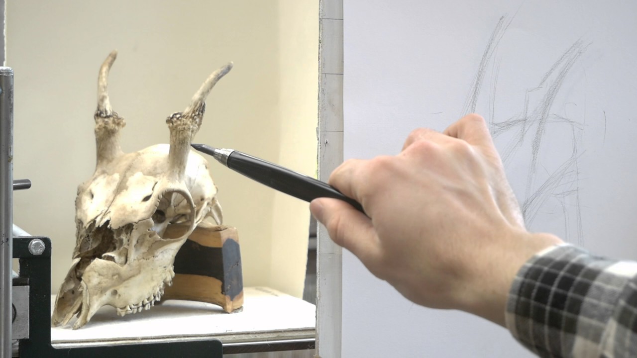 OCAD Studio: Rhythmic Drawing from Life Part 1