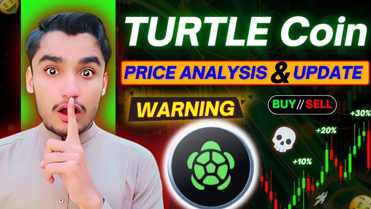 TURTLE Coin Price prediction And News Today | TURTLE Coin Update & Possible Trade Ideas!! #turtle 