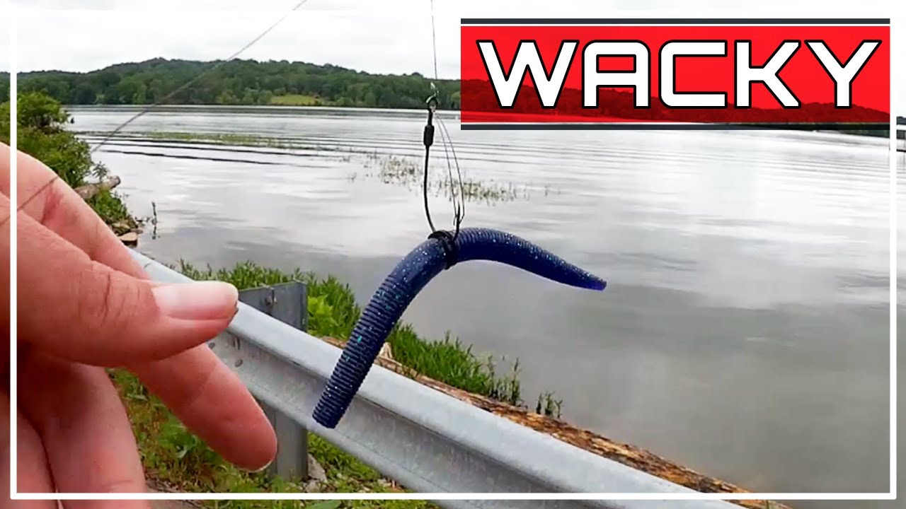 Bass Fishing with Plastic Worms & Braided Line! YUM Dinger Wacky Rig
