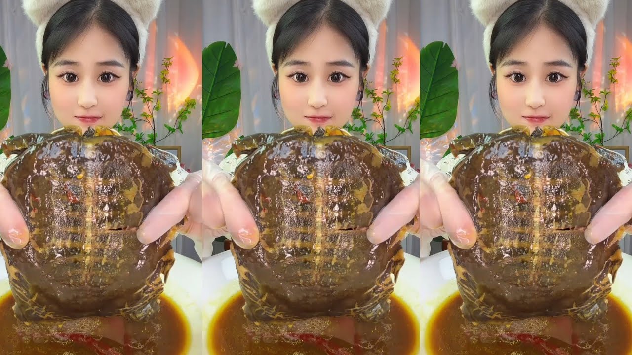 🐢 Spicy Turtle Feast! 🔥 Bold Flavors & Rare Delicacy | ASMR Mukbang Eating Sounds 🎧🍲