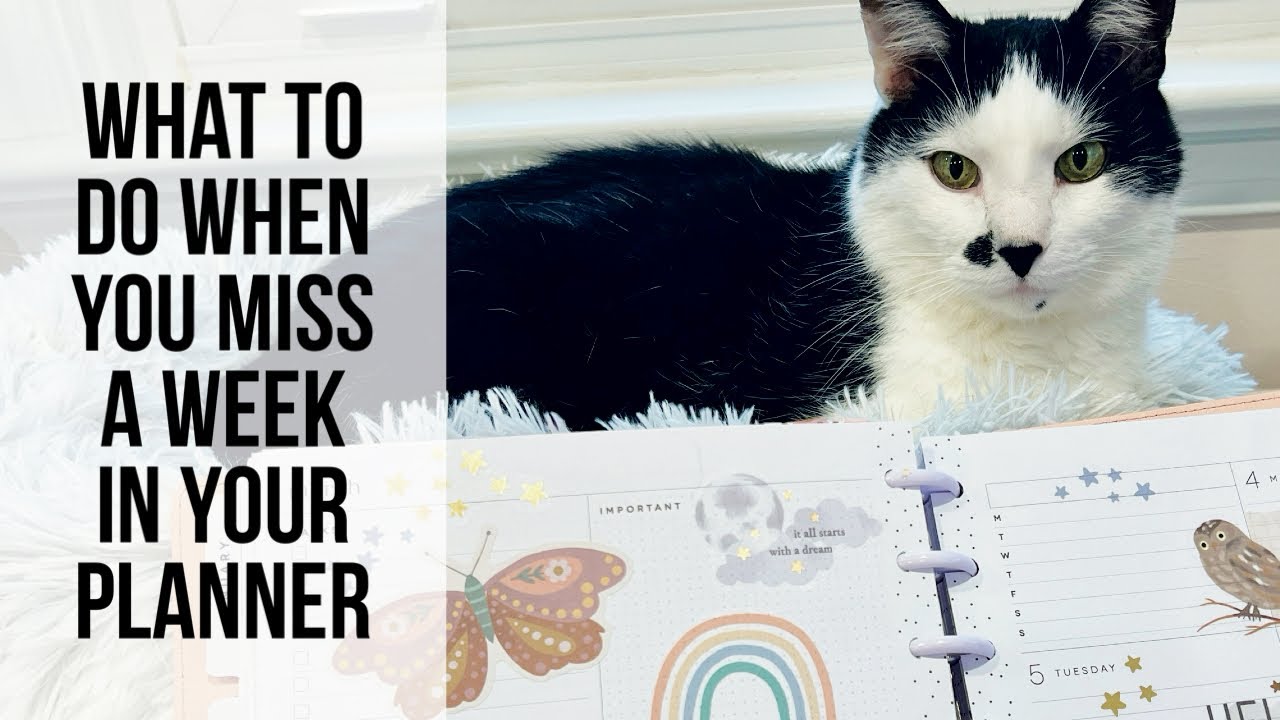 What to Do When You Skip a Week (or More) in Your Planner But Don't Want Blank Pages