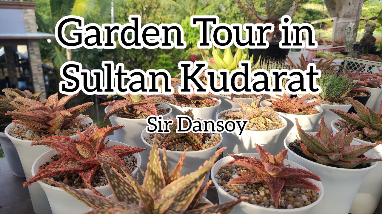 Dumayo pa ng Sultan Kudarat