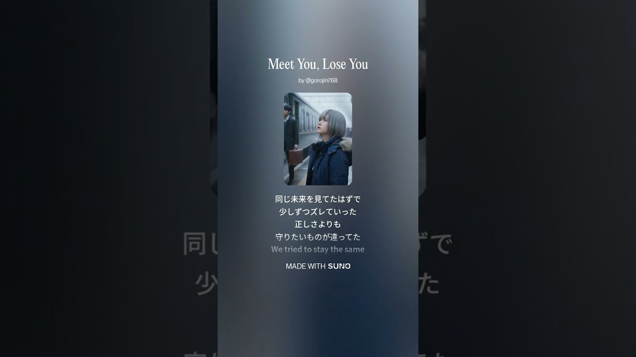 Meet You, Lose You