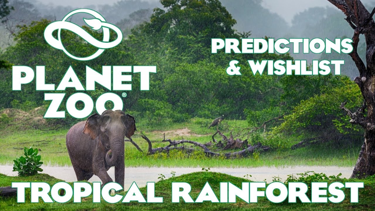 Planet Zoo: Predictions and Wishlist - Tropical Rainforest