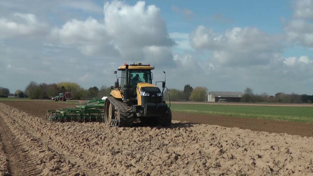 Seed Bed Harrow