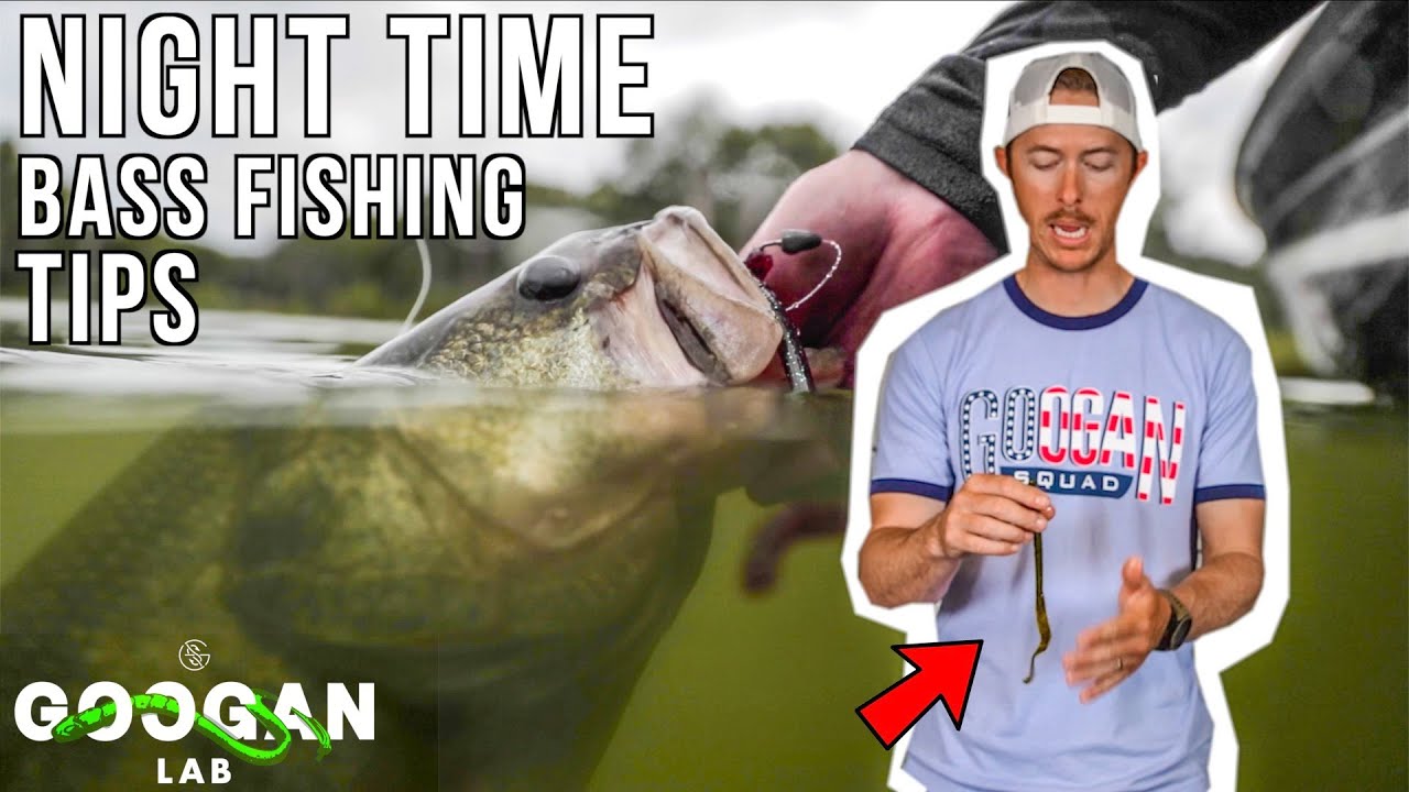 HOW TO CATCH More BASS AT NIGHT! ( LURE SELECTION )