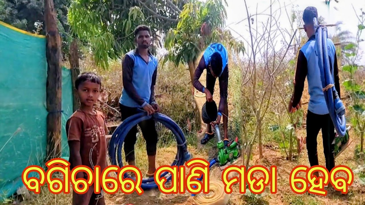 ବଗିଚାରେ ପାଣି ମଡା ଚାଲିଛି।।@@PN2 VLOGS@#@Odia Vlogs Video@@Village Vlogs##Village Boy Pintu@@