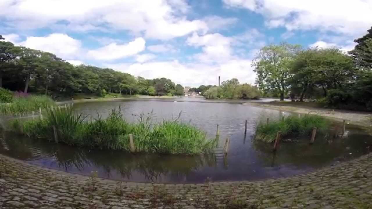 BACK TO MY ROOTS - LEAZES PARK CARP FISHING