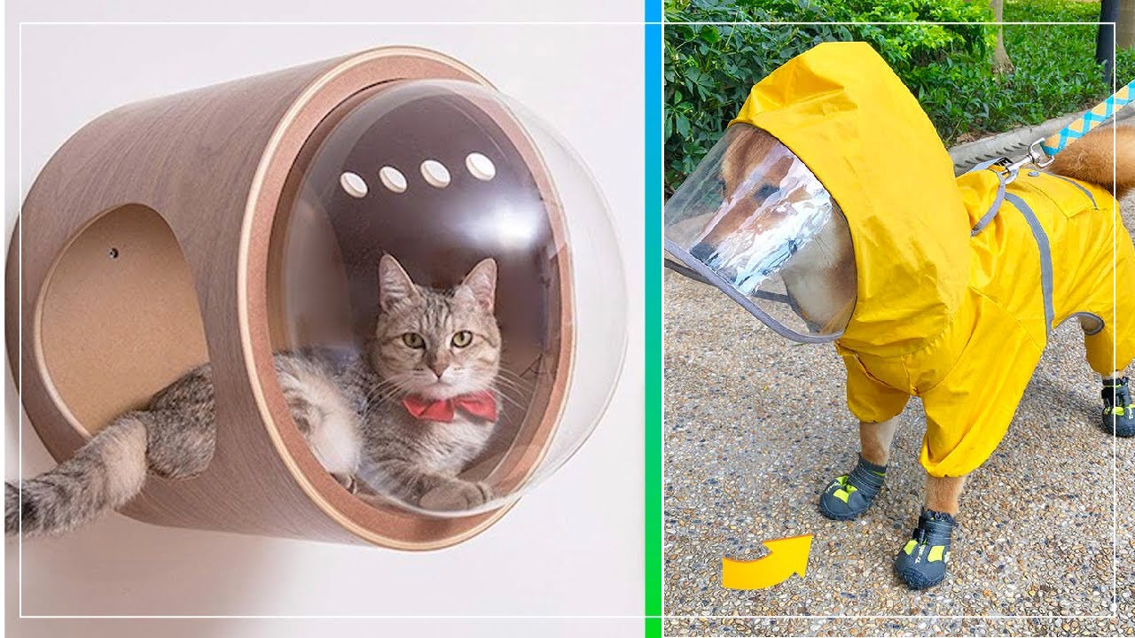GENIALES INVENTOS para MASCOTAS 😻🐶🐱🐈🐕