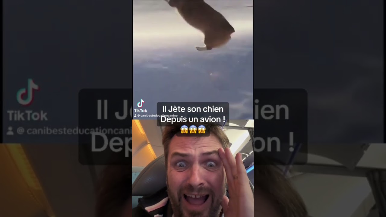 Incroyable ! Il Jète son chien depuis un avion, sans parachute 😱😱😱 