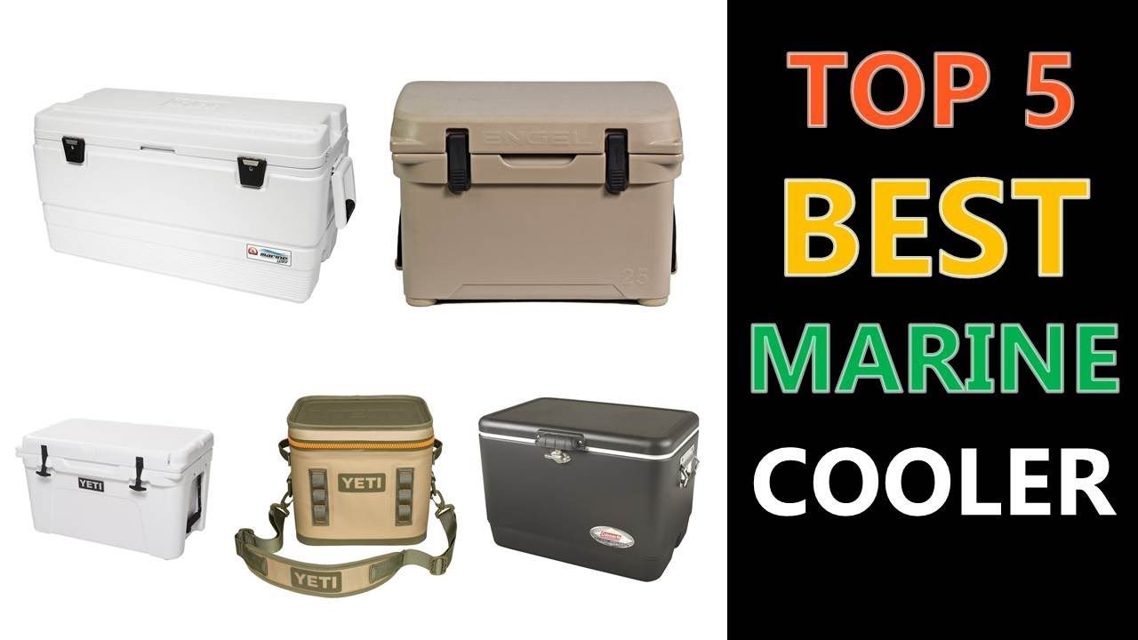 Best Marine Cooler 2019 - 2020